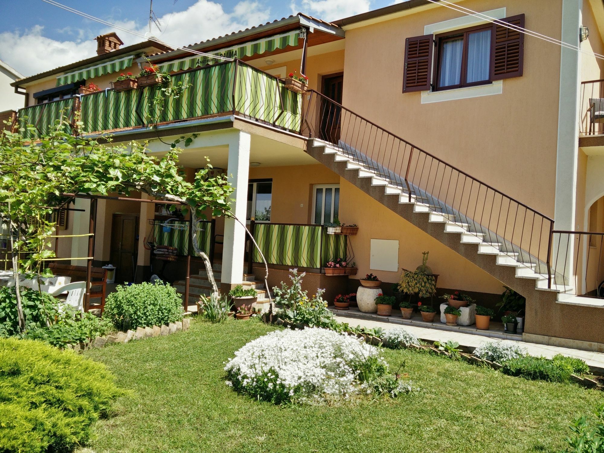 Apartmán Palma *
